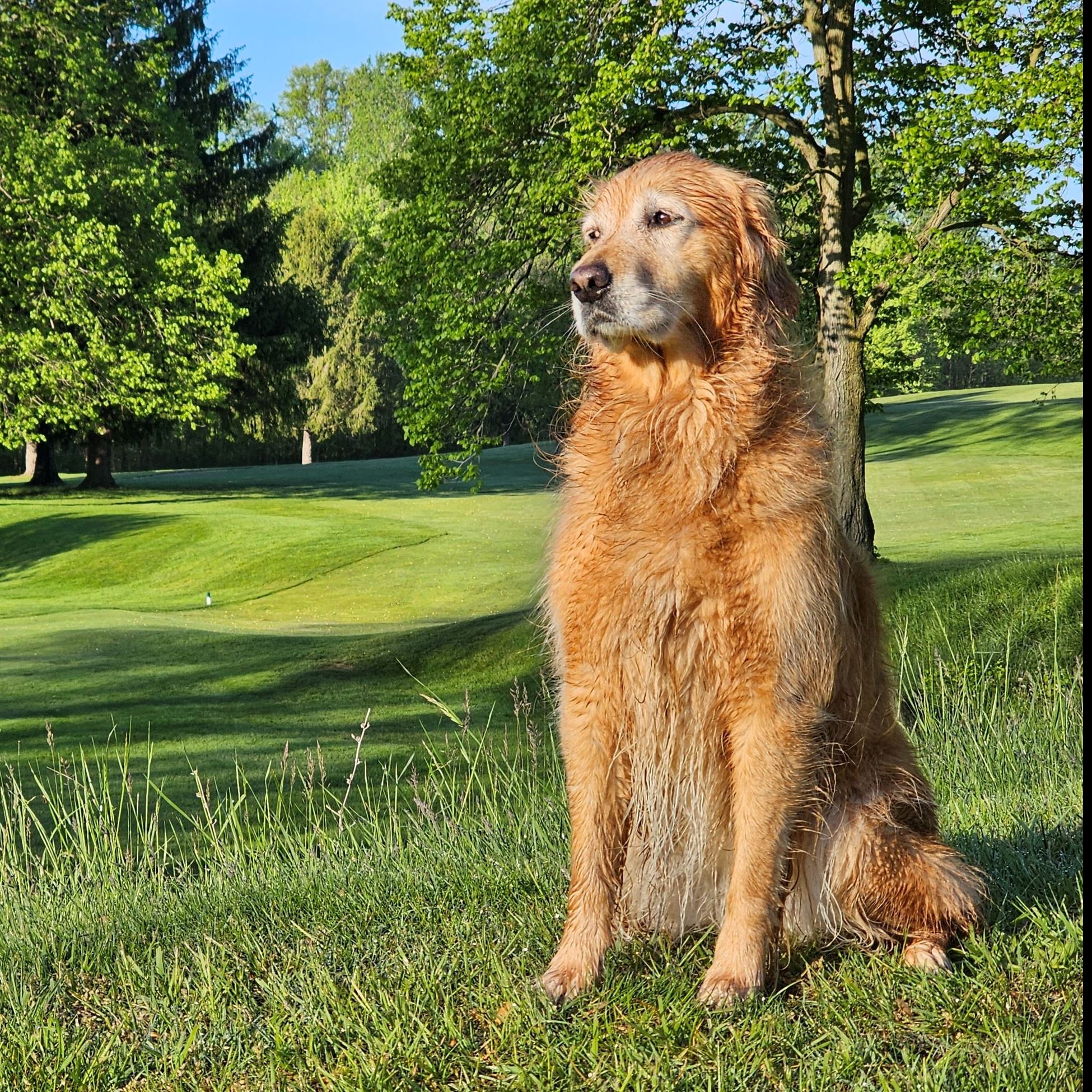 Photo - March 2026 - Stella Golf 1