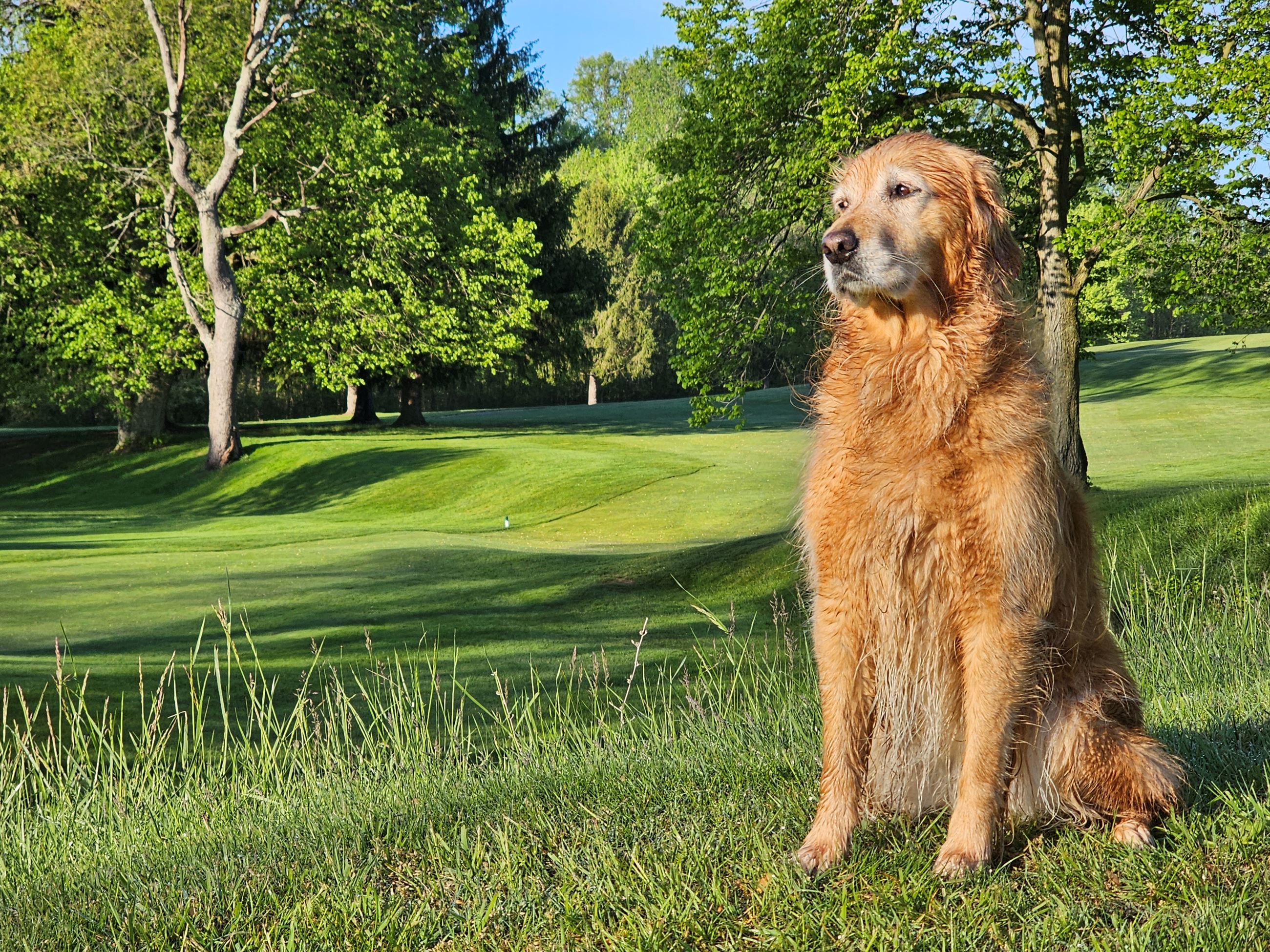 Photo - March 2026 - Stella Golf 1